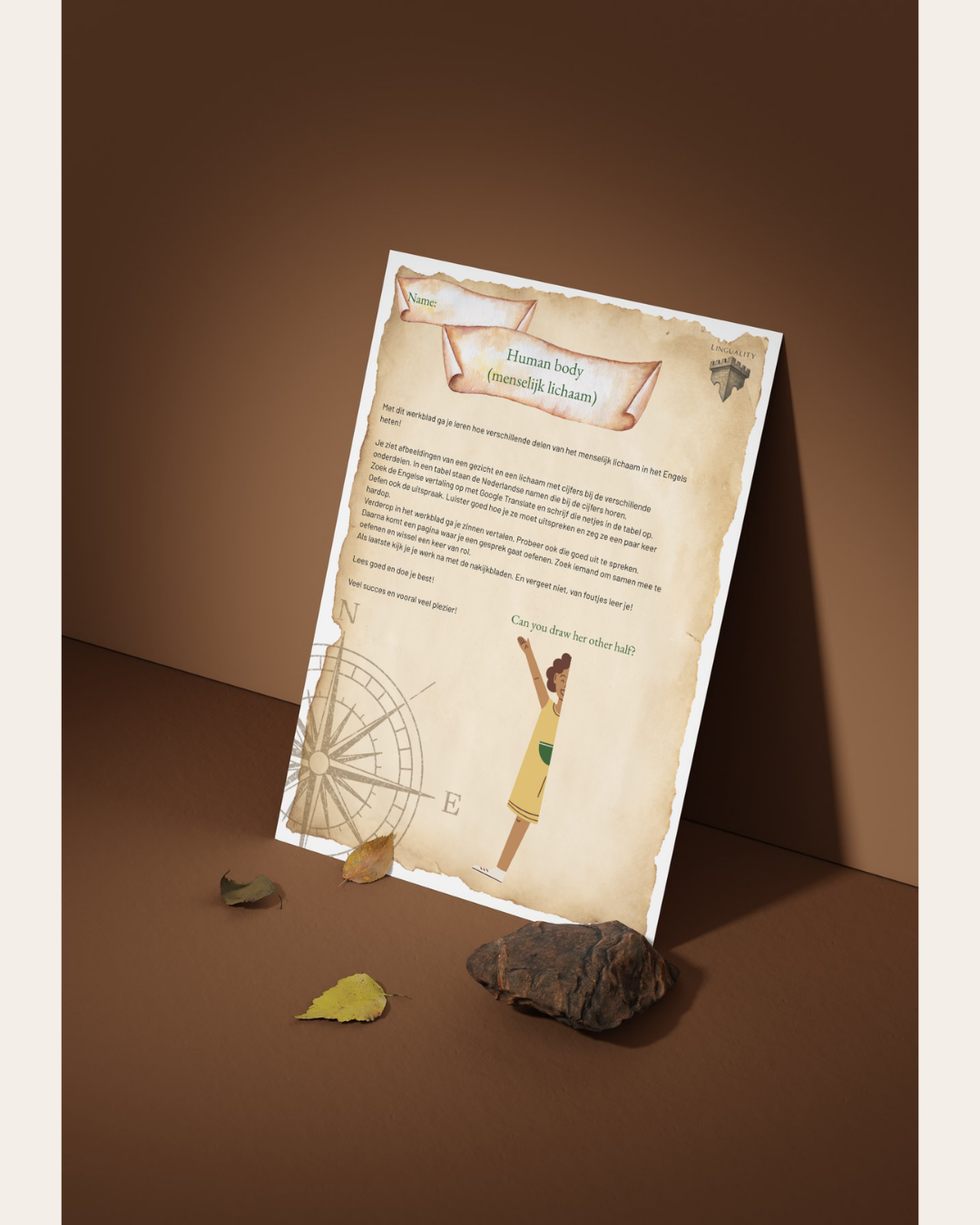Lespakket Thema: Human body (digitaal product)
